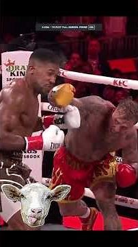 Jake Paul Gets Knocked Out