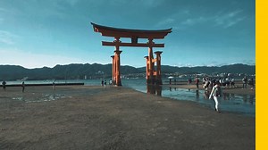 81K views · 2.1K reactions | Japan delights in contrasts, revering...