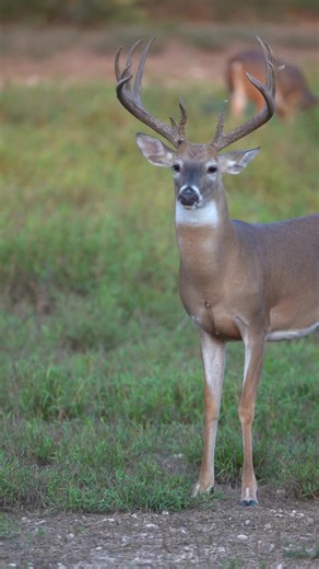 Hunters' Spending Habits: Is It Worth It?
