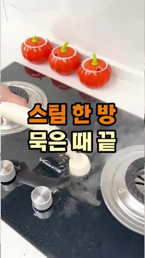 핸디 스팀청소기 구매 방법과 장점