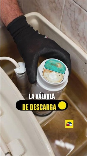 Cambie la Válvula de un Sanitario Fácil y Rápido