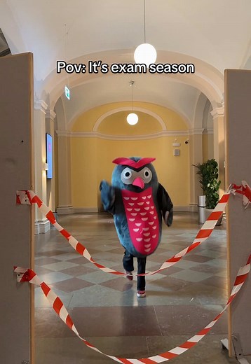 Exam Season Strategies for Success in Stockholm
