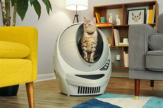 10 Surprising Reasons Why Your Litter-Robot Smells Bad