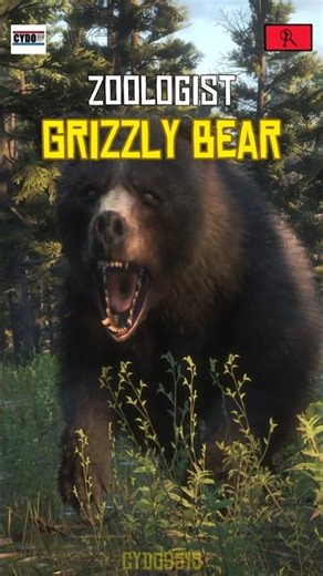 The Grizzly Bear! #cydo9515 #gaming #zoologist #grizzly #bear #rdr2guide #achievement #rdr2