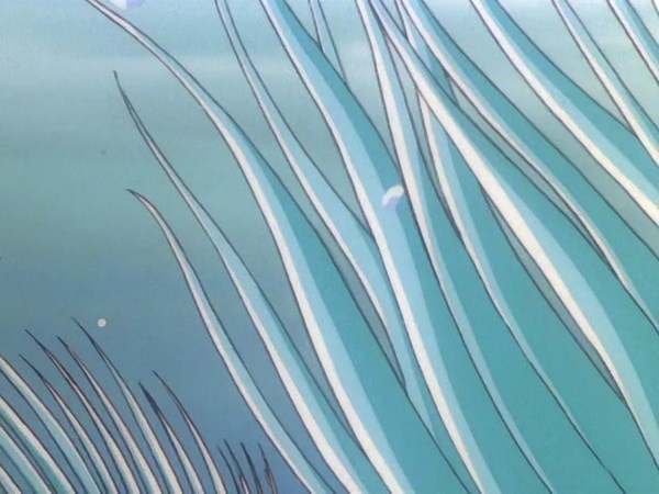 Pokémon - Kanto Movie Collection