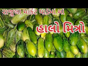 હાલો મિત્રો ચીભડાં વેચવા રાજુલા માર્કેટ યાર્ડ આવો ભાઈ આપડી લાઈવ માં સ્વાગત છે તમારું
