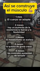 Así es como se construye el músculo | Alejomacias