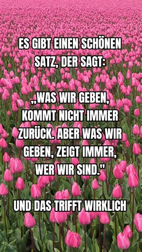 Der Satz trifft zu