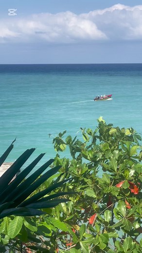 Sand and Tan Beach Hotel on TikTok