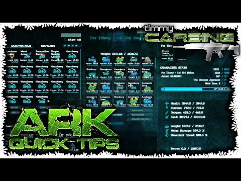 Ark:SE Quick Tips || How to Quickly Manage Inventory using Keyboard Shortcuts || TimmyCarbine