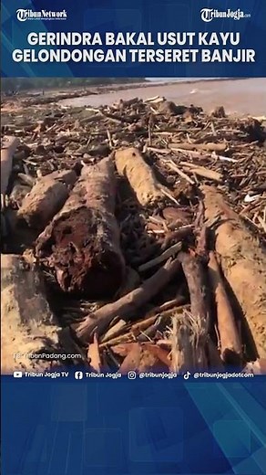 GERINDRA HIGHLIGHTS LOGS Swept Away in the Sumatra Floods, WILL INVESTIGATE THE INCIDENT #Shorts