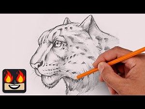 How To Draw a Snow Leopard | Sketch Tutorial (Step-by-Step)