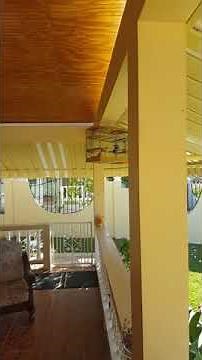 Trinidad Local Bullfinch