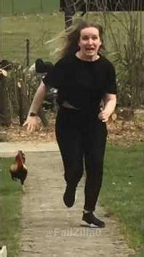 funniest chicken videos ever #funny #chicken #funnyvideo #animals #pets #cute #youtube