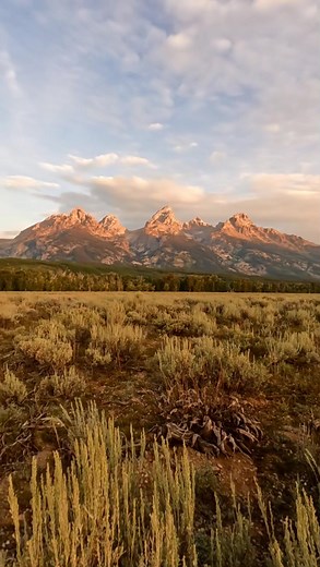 📍the tetons in august #wyoming #travel #tetons | Travel