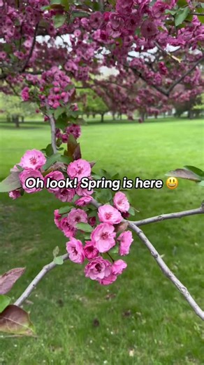 Spring in the Midwest.