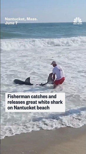 Fisherman catches and releases great white shark in Nantucket