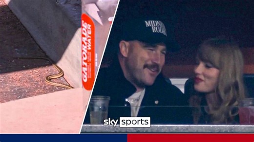 Snake in the dugout.. Taylor Swift in the crowd | An eventful day in Major League Baseball!