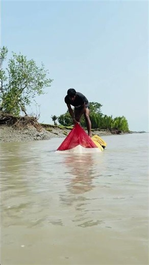 Amazing river fishing #fishing #reels #villagelife