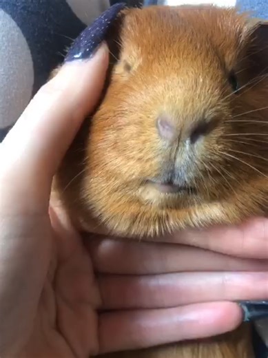 Being at mommys 🩷😊