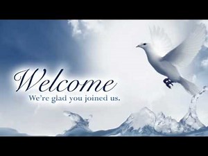 [Free video loops] Worship Dove