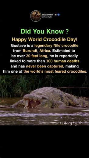Happy World Crocodile Day! #shorts #crocodile