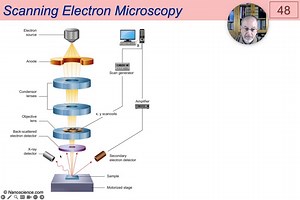 06 - Electron Microscopy - The Scanning Electron Microscope.mp4