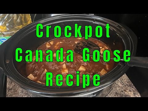 Crockpot Canada Goose Recipe