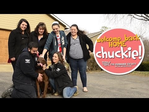 Lost Dog Rescued & Reunited with Family