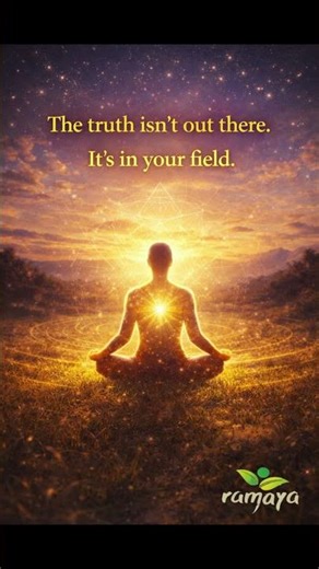 ⚡️The Truth Is in Your Field ⚡️ #spiritualawakening #sovereignty