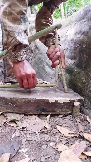 698K views · 2.7K reactions | Trap Survival #Halloween #campingtrip #forestfinds #catfish #fblifestyle #trap #survival #outdoors #forest #skills #camping #tips #challenge #trap #skills #reels #hunting #alamliar #fores #nature #wildlife #photography #ontario #travel | Trap F. Forest | Facebook