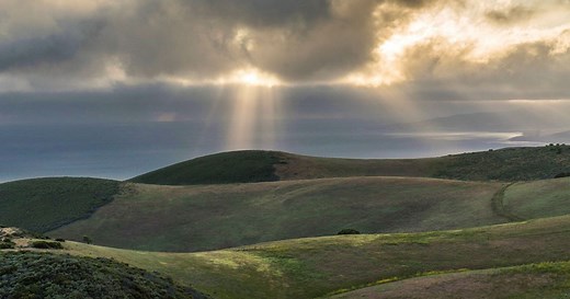 The Jack and Laura Dangermond Preserve