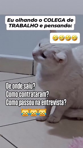 Instagram video by Theresa Maria Rodrigues • Jul 27, 2025 at 6:59 AM