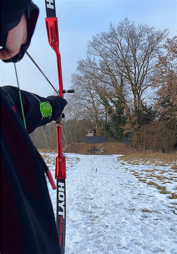 Understanding 3D Archery: Techniques and Insights