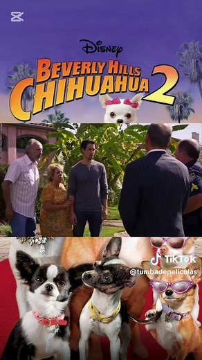Beverly Hill's Chihuahua 2: Película Completa en Español