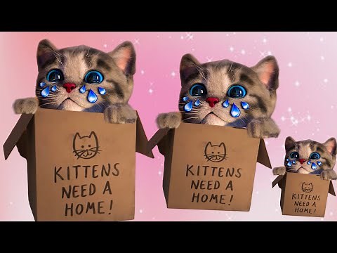 MACIATKO MACKA DETSKE ROZPRAVKY PRE DETI A NAJMENSICH o ZVIERATKACH SAGAN TV