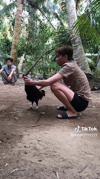 Video của dat (@dat077777777) với bản nhạc Dj Turbo Diesel Thailand - Rian DTM