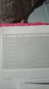 8 taxa of classification:DomainKingdomPhylumClassOrderFam... | Filo