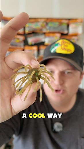 How to rig small Coikes and dice lures #fishingtips #bassfishing