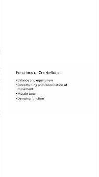 Functions of cerebellum