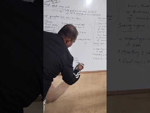 Nervous system in cockroach 🪳