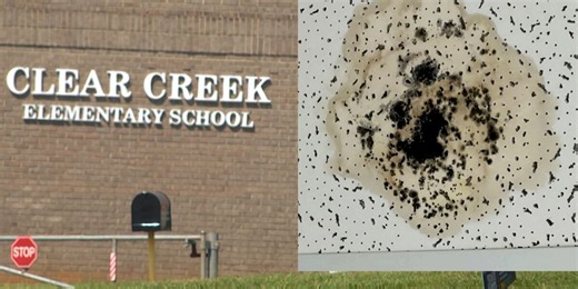 ‘Potential growth’: Mold concerns at Charlotte elementary school