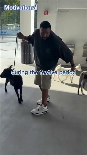 Training goats have more economic value than training dogs base on its source of food to the masses