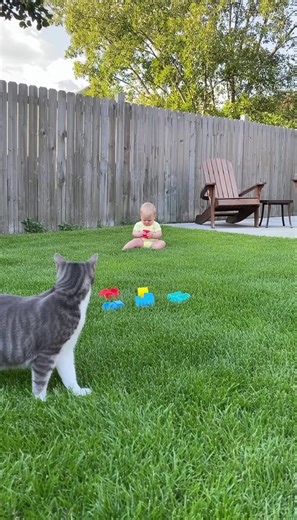 Hero Cat TACKLES Clouded Leopard to Save Baby | INSANE Footage | Stories Unbelievable