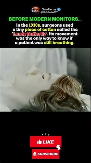 Life Depended on a Piece of Cotton