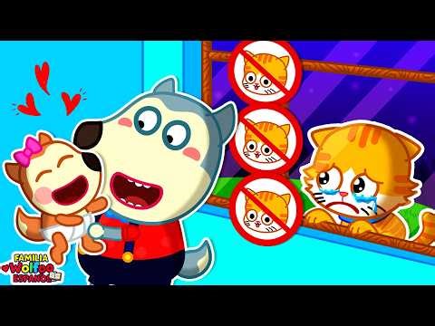 Familia Wolfoo Español | ¡El Gatito se Une al Juego! Diversión para Niños 👀 Dibujos Animados