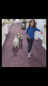 58K views · 1.8K reactions | I am a bad Mummy, I totally forgot to...