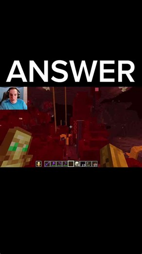 ANSWER to Whats Wrong With This Minecraft Video #minecraft #puzzle #riddles #whatswrong