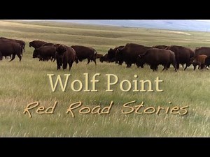 Wolf Point: Red Road Stories