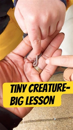 Teaching empathy through nature! #childpsychology #sel #childdevelopment #baskiwigglebooks #kids